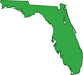 Florida Icon