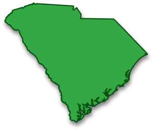 South Carolina Icon