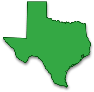 Texas Icon